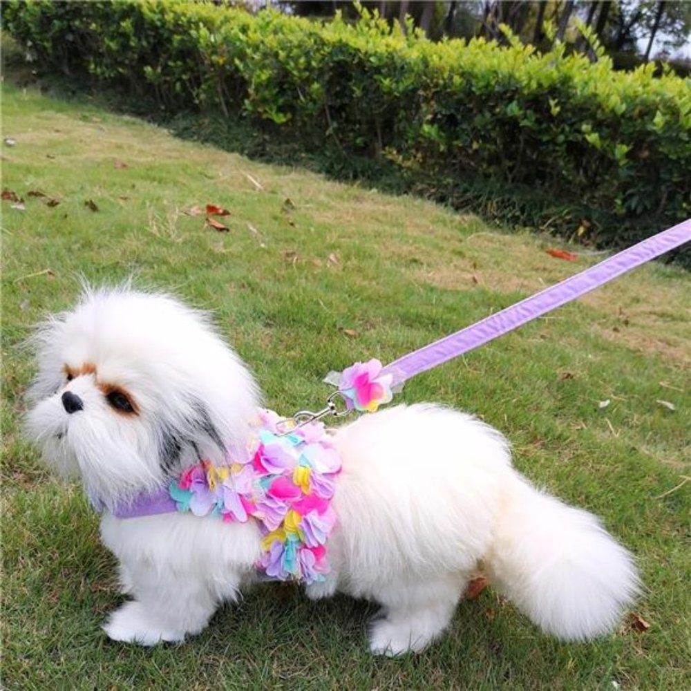 Adorable Pet Harness With Matching Leash For Small Dogs & Cats